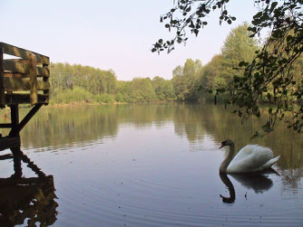 Bruchgrabensee - Foto: NABU Eppingen-Elsenz