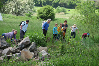 Entdeckungen am Flachteich (Foto: Brigitte Herrmann)