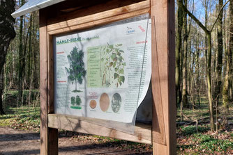 Foto: NABU Dötlingen-Wildeshausen