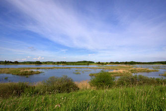 Foto: Axel Roschen