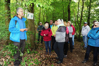 Foto: Rainer Hofmann