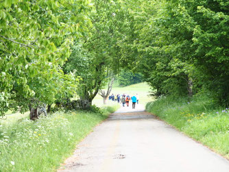 Auf dem Rundweg am Rande des Moors, Foto: Sophie Wiggenhauser