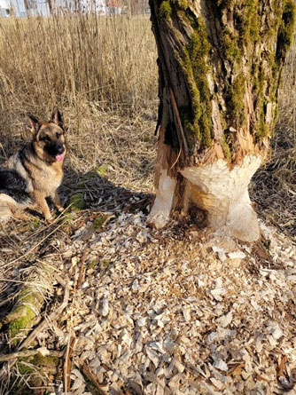 Foto: An der Itz / J. Winkler