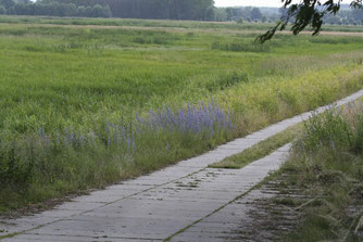 Foto: NABU/M. Sommerfeld
