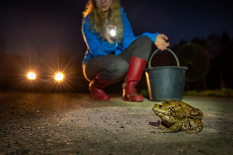 Foto: NABU/J. Fieber