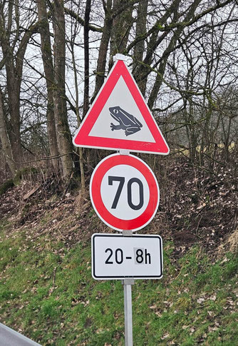 Achtung! Erdkröten queren