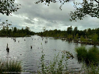 Das Hohe Moor