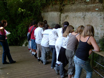 collège envisite à saucats