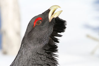 Foto: Christoph Moning