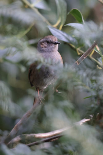 Foto: Dorothea Bellmer