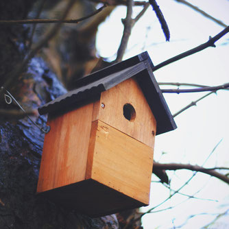 Vogelhäuschen an einem Baum