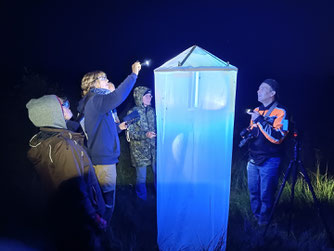 Ehrenamtliche suchen an einem "Leuchtturm" nach Nachtfaltern. Foto: NABU Holtriem.