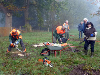 Teils mit schwerem Einsatz wurde die Wiese winterfest gemacht