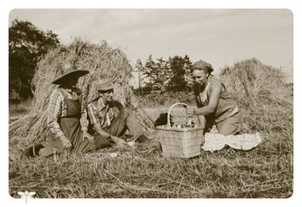 Pause bei der Getreideernte, Weyermoor, Foto: (c) Rolf Metzing