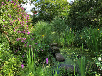 Naturgarten mit Teich