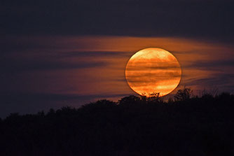 Supermond am Abend