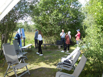 Projekt Sulinger Moor