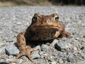Foto: Birgit Kühne