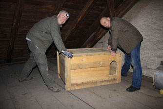 Schleiereulenkasten