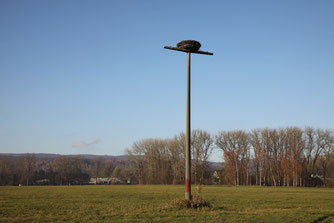 Storchennest