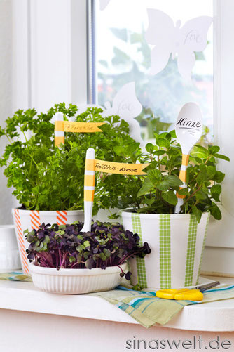 Kresse, Minze, Kräutergarten, Petersilie, DIY, do it yourself, selber machen, selbermachen, selbst gemacht, Kresse, Minze, Kräutergarten, Petersilie, DIY, do it yourself, selber machen, selbermachen, selbst gemacht, Küchendeko, Küchengestaltung, gesund, k