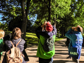 Im Blumenwall gibt es viel zu entdecken. - Foto: Kathy Büscher