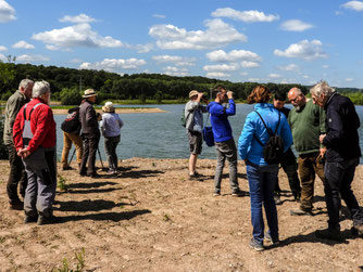 Die Exkursionsgruppe in Varenholz. - Foto: Kathy Büscher