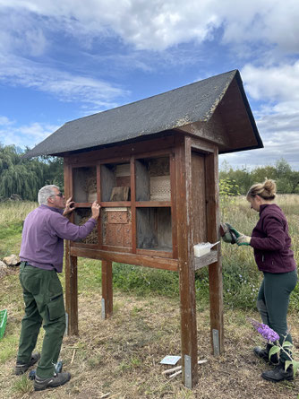 Das Insektenhotel wird ergänzt. - Foto: Dr. Nick Büscher