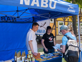 Besucher stöbern am Info-Stand des NABU Rinteln. - Foto: Kathy Büscher