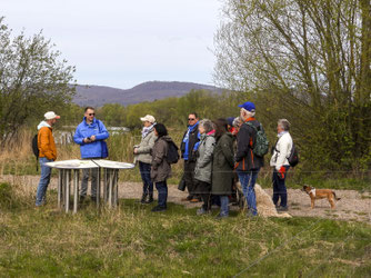 Die Interessierten hören dem Exkursionsleiter zu. - Foto: Kathy Büscher