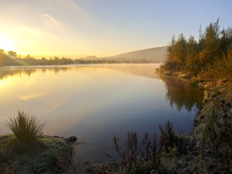 Die Auenlandschaft Hohenrode. - Foto: Kathy Büscher