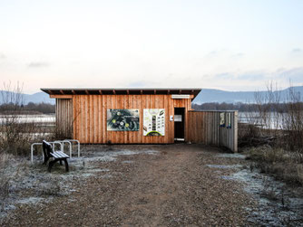 Die Beobachtungshütte in Hohenrode. - Foto: Kathy Büscher