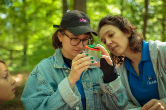 Foto: Bodentiere, Christine Harbig, Nabu