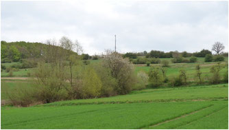(C)NABU Lippe: Terrassenlandschaft am Hohen Asch