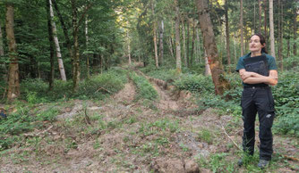 Eine Rückegasse im Sommer nach der Abholzung. - Foto: Agnes Pahler