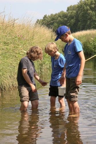 Foto: NABU/ C. Kuchem 