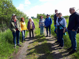 Exkursion ins Bruch bei Birkenheide und Erpolzheim