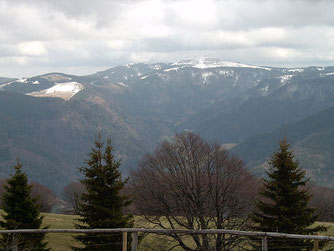 Feldberg (1493m)