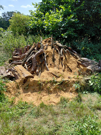 Hirschkäfermeiler auf der Naturerlebniswiese in Damme mit frischen Holzspänen