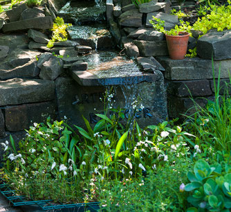 naturnaher Garten (dh)