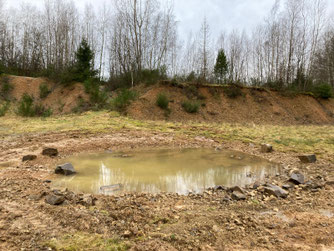 Kontrolle und Pflege von Amphibienteichen (nabu wa)