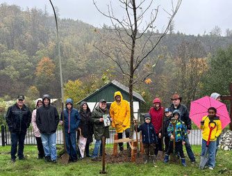 Als Dankeschön für die Unterstützung schenkte und pflanzte der NABU Morsbach Bürgermeister Jörg Bukowski zum Abschied einen Bergahorn. Foto: NABU Morsbac