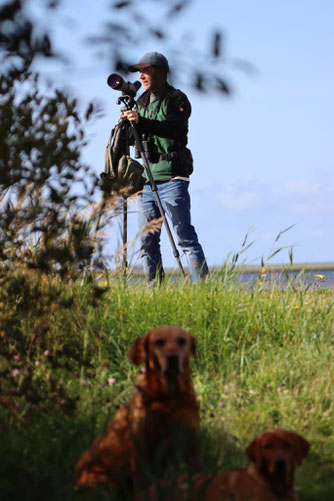 Frank, der Gebietsbetreuer der Goosseewiesen, am Spektiv. Foto: Katrin Seemann