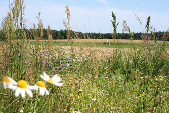 Foto: Eric Neuling / NABU