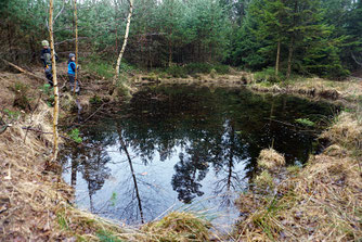 Foto: A.  Röhm, Freischnitt der Amphibienteiche im Oberroder Forst