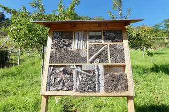 Wildbienen-Nisthilfe auf dem Schloßberg - vor dem Umbau, Foto: klahen