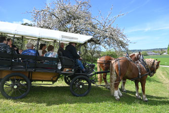 Mit Pferdekutsche zwischen den Stationen unterwegs. Foto: Franz Thoren