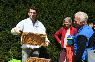 Imker Dominik Peuker zeigt das Innenleben seiner Bienenkörbe. Foto: Franz Thoren