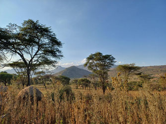 Uganda Foto: T. Stadtmüller