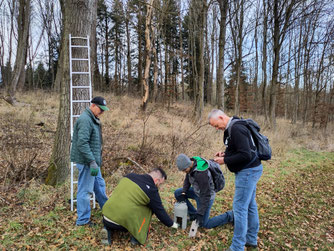 Nistkasten reinigen im Moorwald Foto: NABU/I.Bücker
